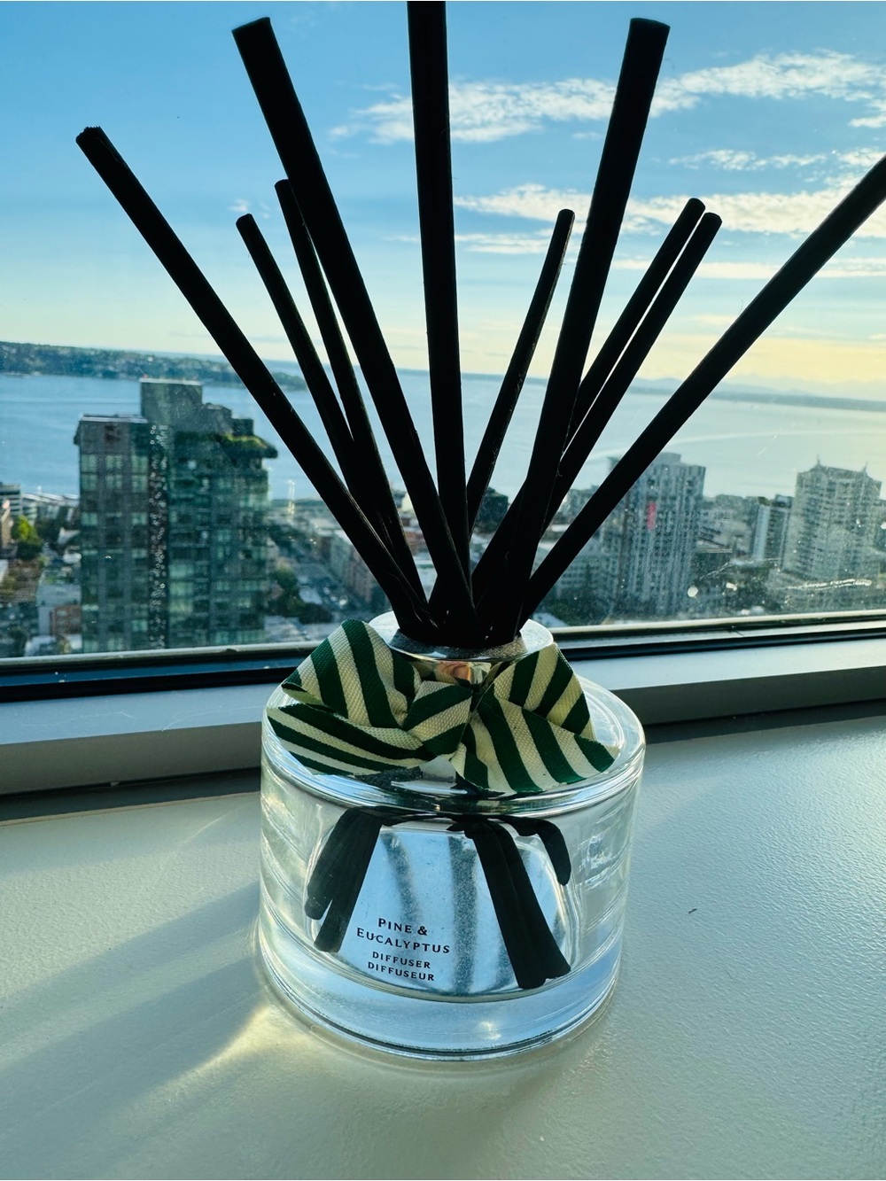 Authentic Jo Malone Pine & Eucalyptus Empty Diffuser bottle (Holiday Edition)